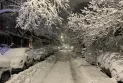 School closures and power outages affecting more than 100,000 homes with snowfall in Quebec
