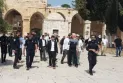 Settlers storm Al-Aqsa Mosque again...