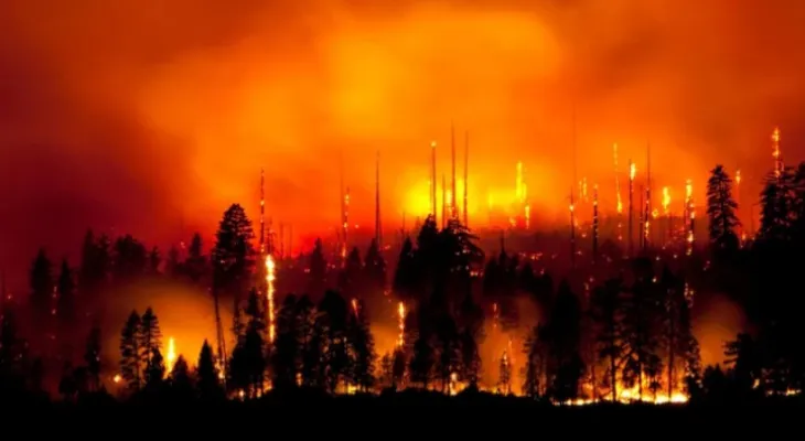 Firefighters demand more funding from Ottawa after the worst wildfire season