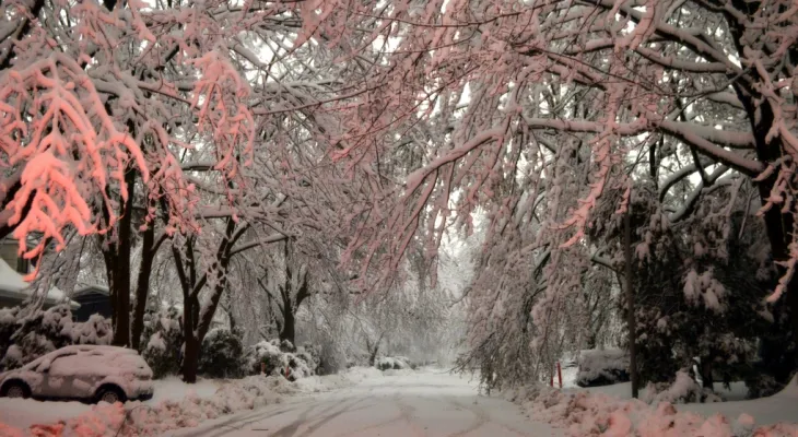 Hydro Quebec: We cannot determine the service restoration time after heavy snowfall