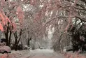 Hydro Quebec: We cannot determine the service restoration time after heavy snowfall