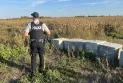 The Canadian Mounted Police will reduce the number of officers patrolling the border with the United States.