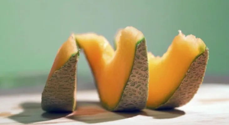 Five dead in Canada due to a salmonella outbreak linked to contaminated watermelon