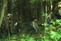 Royal Canadian Mounted Police: Human trafficking from Canada to the United States is a profitable market that attracts organized crime