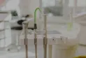 The Canadian government announces today the details of the dental insurance plan...