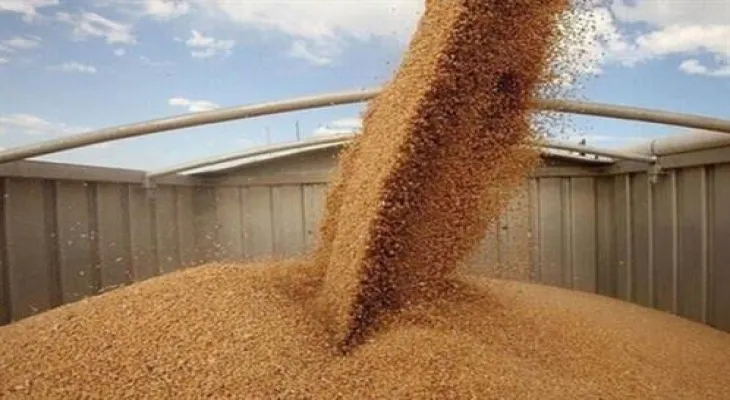 Russia imposes a temporary ban on the export of durum wheat until the end of May 2024