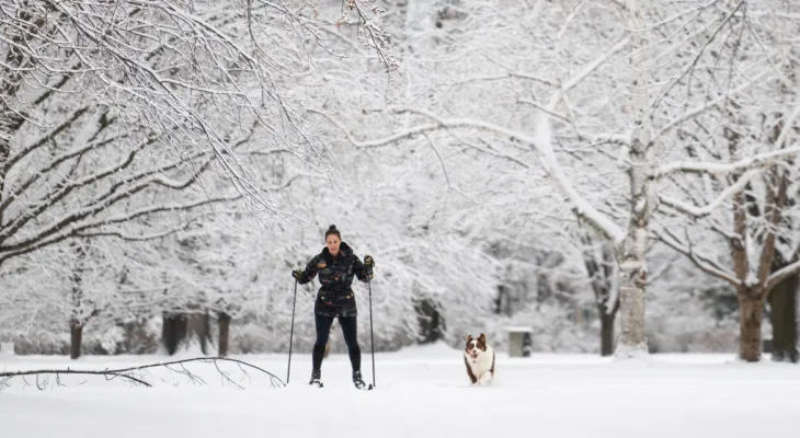 Storms, winds, and snow: Here is the expected weather in some Canadian cities