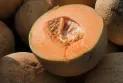 Santé publique Canada : 6 décès et plus de 150 cas confirmés dans l'épidémie de salmonelle liée au melon cantaloup