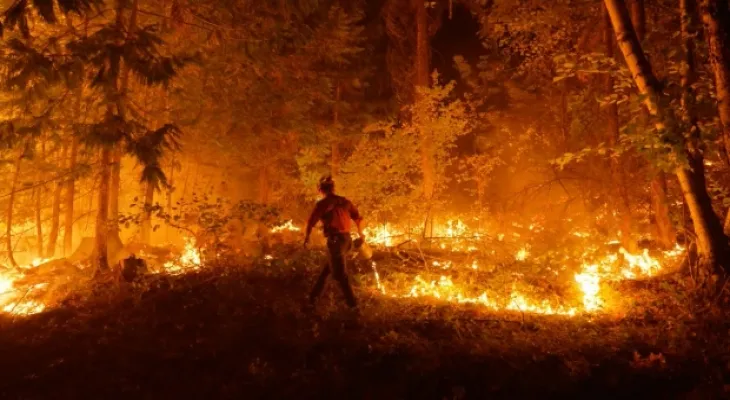 Study: Fire barriers and resistant materials can reduce the risk of wildfires on homes