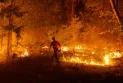 Study: Fire barriers and resistant materials can reduce the risk of wildfires on homes