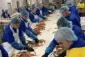 Canada: 42000 eligible seasonal workers to receive additional weeks of employment insurance benefits