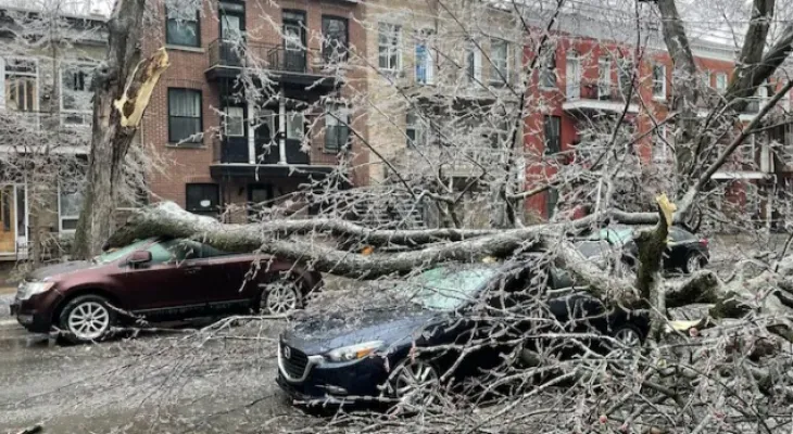 Insurance losses amounting to 3.13 billion dollars due to natural disasters in 2023 in Canada...