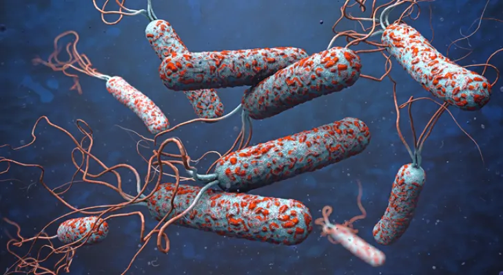 Rising cholera cases worldwide amid vaccine shortages...