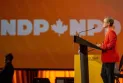Reorganizing the ranks of the New Democrats to conduct the federal elections...