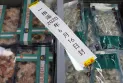 La police américaine trouve de la cocaïne à l'intérieur de paquets de crevettes surgelées à l'aéroport de New York