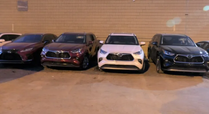Police lay 96 criminal charges after recovering 52 stolen vehicles in Ontario
