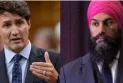 The Liberal Party and the New Democratic Party are considering presenting an agreement for electoral reform
