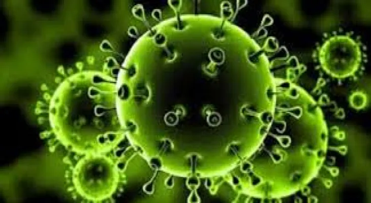 What is the truth about the spread of the X epidemic?.. An epidemiology professor answers