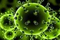 What is the truth about the spread of the X epidemic?.. An epidemiology professor answers