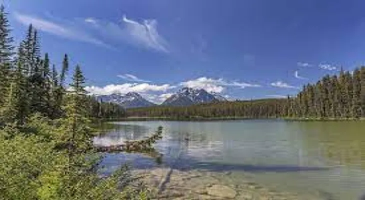 Alberta launches "unprecedented" water-sharing negotiations on Thursday amid drought concerns