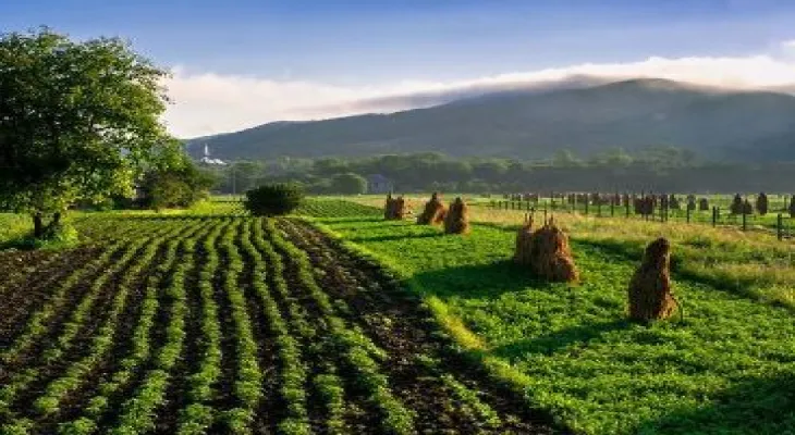 Farmers' revolution.. massive protests sweep across Europe denouncing the worsening conditions