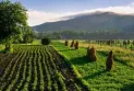 Farmers' revolution.. massive protests sweep across Europe denouncing the worsening conditions