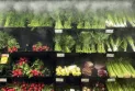 Experts: The government should strengthen competition in the domestic grocery sector rather than seeking experts from abroad.