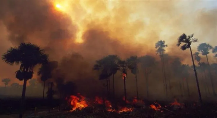Death toll from wildfires in Chile rises to 51