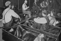 Pourquoi dormons-nous dans des lits ? Une histoire étrange qui s'étend sur des siècles