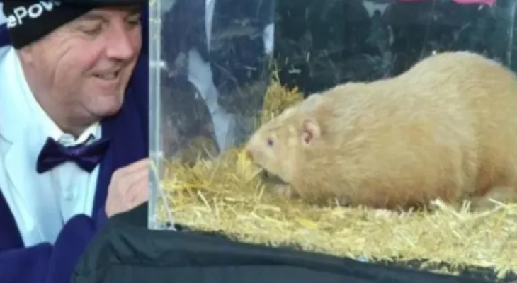 Ontario Groundhog expects an early spring start in 2024