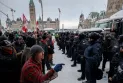 Poll: Majority support for the emergency law has not changed since 2022