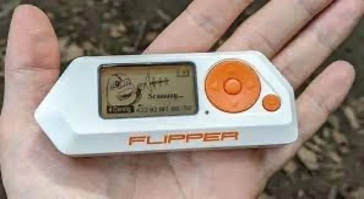 Canada : interdiction d'un sifflet électronique utilisé dans le vol de voitures