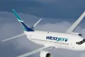 Details of the incident of ejecting a Westjet airline plane for one of the female passengers on board