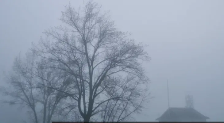 Winter storm brings 50 cm of snow to Canada