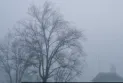 Winter storm brings 50 cm of snow to Canada