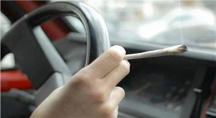 The German Automobile Association warns of the dangers of consuming cannabis on the road