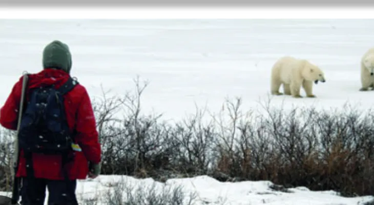 This small town in Canada is one of the best places in the world to see the Northern Lights
