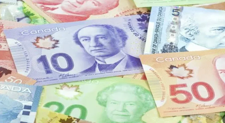 The price of the Canadian dollar against Arab and global currencies