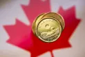 Canadian Dollar Exchange Rate Against Global and Arab Currencies Today Friday