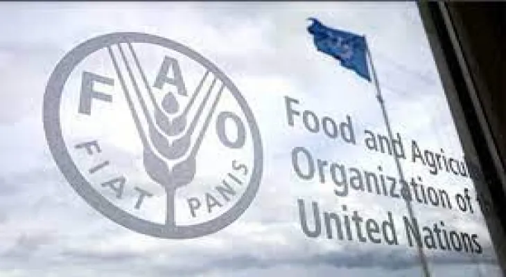 FAO Representative in Jordan: Gaza war and conditions in the Red and Black Seas negatively affected food prices