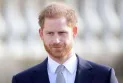 Trump attacks Prince Harry: A traitor who uses hashish and hallucinogens, and Biden provides him protection