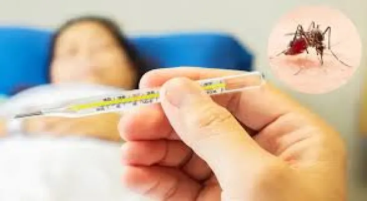 Peru declares a health emergency due to the increase in dengue fever cases in the country