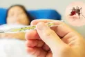 Le Pérou déclare l'état d'urgence sanitaire en raison de l'augmentation des cas de dengue dans le pays.