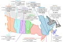 Report: Home prices in Toronto have increased by 42% over the past five years and the cost of living has risen by 17%