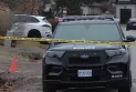 Police investigate the killing of a man by two officers in Halton