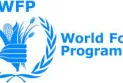 "World Food Programme" warns of the repercussions of the war in Sudan that are leading to the creation of the largest hunger crisis in the world