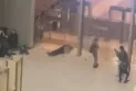 ISIS claims responsibility for the armed attack in the concert hall in Russia
