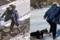 Child seriously injured after being bitten and dragged by a dog in a Toronto Waterfront park
