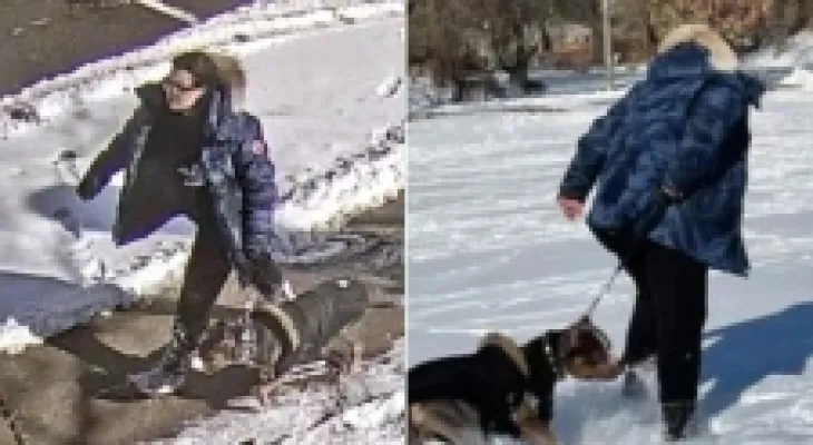 Woman arrested and her dog seized after attack on child in Toronto playground
