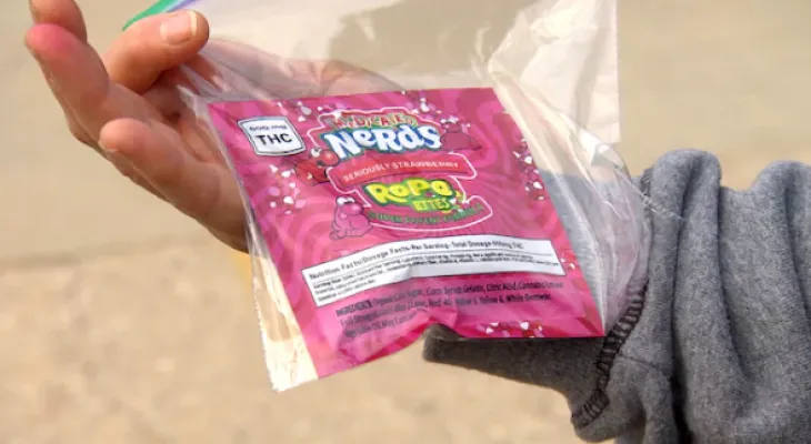 $5000 fine for a woman who distributed candy to children in Winnipeg